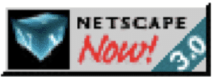 Netscape Navigator